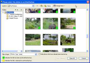 Photo backup software screenshot: browser